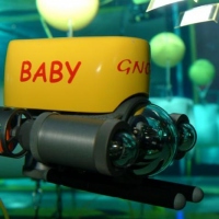 GNOM Baby in the Plimouth National aquarium (1)