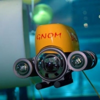 GNOM Baby in the Plimouth National aquarium (2)