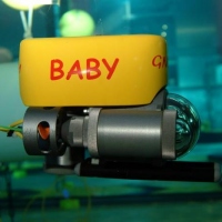 GNOM Baby in the Plimouth National aquarium (3)