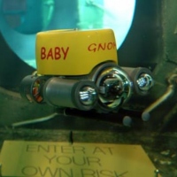 GNOM Baby in the Plimouth National aquarium (9)