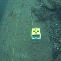 Super GNOM at work (1)