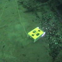 Super GNOM at work (5)