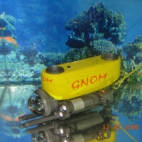 GNOM standard (5)