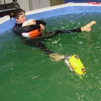 GNOM standard in pool (2)