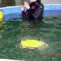 GNOM standard in pool (3)