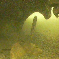 Baltic Sea. Shipwreck