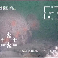 Antique amphors in a seabed (Montenegro,2004)