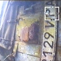 Identification of the car