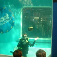 Boot show in Dusseldorf