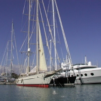 GNOM is necessary to them