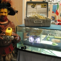 Diving show Antibes (1)