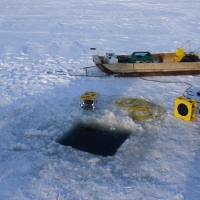 Preparation for immersing