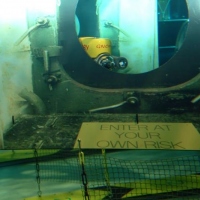 GNOM Baby in the Plimouth National aquarium (5)