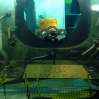 GNOM Baby in the Plimouth National aquarium (6)