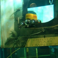 GNOM Baby in the Plimouth National aquarium (7)