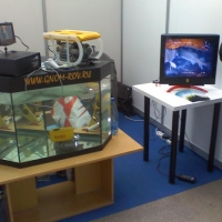 GNOMs are shown on the mount of company-manufecturer