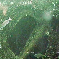 ROV GNOM examines wreck 