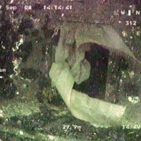 ROV GNOM examines wreck 