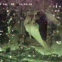 ROV GNOM examines wreck 