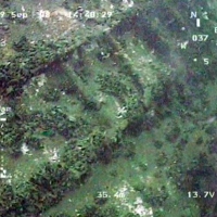 ROV GNOM examines wreck 
