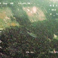 ROV GNOM examines wreck 