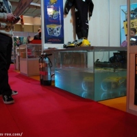 Robot GNOM on MEDEX 2009 