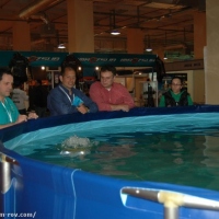 Robot GNOM on MEDEX 2009 