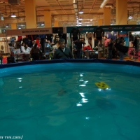 Robot GNOM on MEDEX 2009 