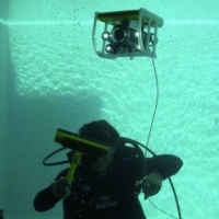 GNOM Standart in a special aquarium