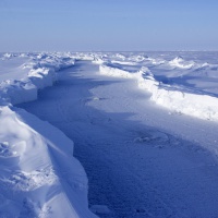 GNOM Standard ROV on the North