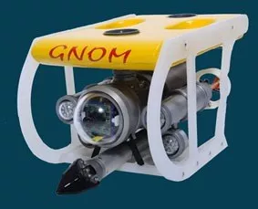 GNOM Standard